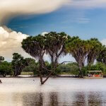 Selous Safari on Boat