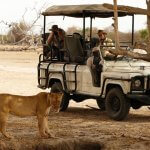 Selous Safari