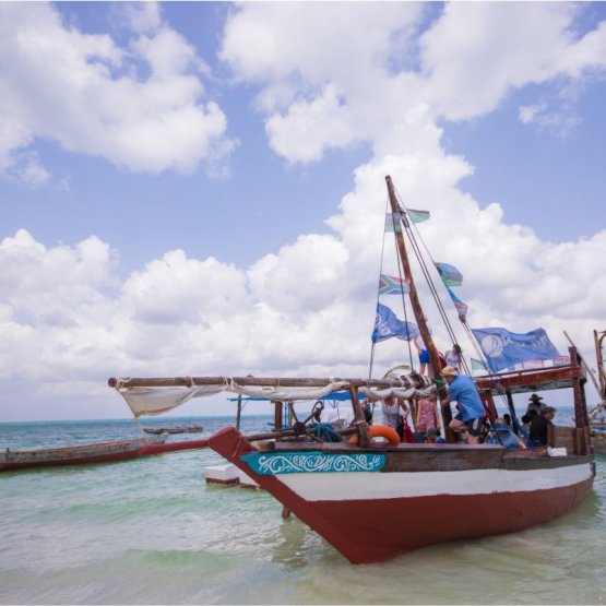 whale shark tour zanzibar