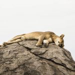 Serengeti National Park