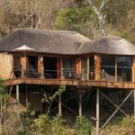 South Tanzania Luxury Safari