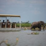 Boat Safari in Nyerere National Park